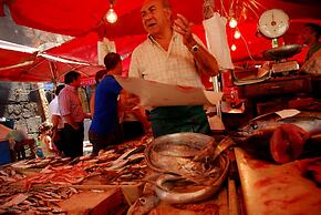 Bed & Breakfast Ipnos