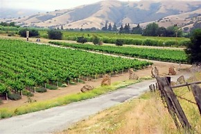 Casa de Fruta Cabins, Inn & RV Park