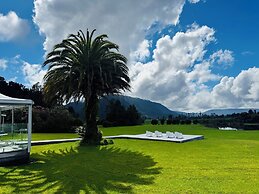Franz Josef Oasis