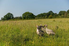 Alltybrain Farm Cottages and B&B