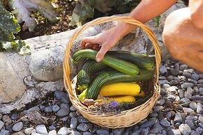 Mt Cook Lakeside Retreat