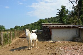 Agriturismo Cascina Scola