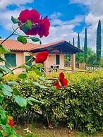 Casa in Maremma Tuscany Village