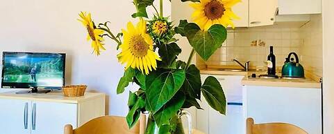 Casa in Maremma Tuscany Village