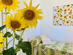 Casa in Maremma Tuscany Village