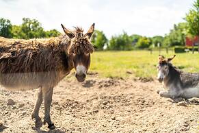 Strandhafer Aparthotel