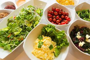 Hotel Resol Sapporo Nakajimakouen