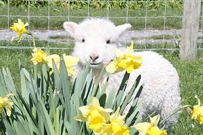 The Point Bed & Breakfast