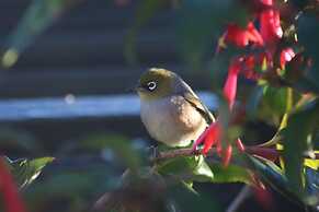 The Point Bed & Breakfast