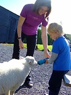 The Point Bed & Breakfast