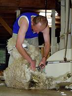 The Point Bed & Breakfast