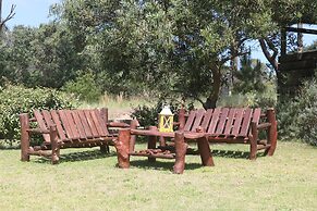 Los Pecados de la Viuda