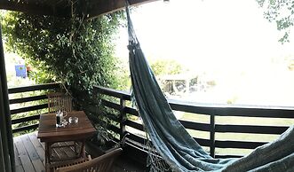 Los Pecados de la Viuda