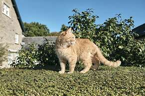 The Agent's House Bed and Breakfast