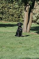 The Agent's House Bed and Breakfast