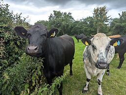 The Agent's House Bed and Breakfast