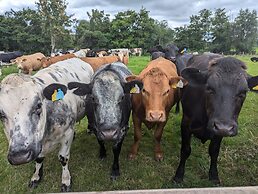 The Agent's House Bed and Breakfast