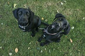 The Agent's House Bed and Breakfast