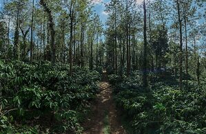 Club Mahindra Virajpet