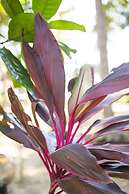 Lanta Coral Beach Resort