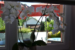 Hôtel CARRER Le Rhien