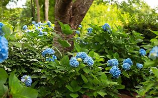 The Palmer House Inn