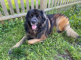 The Palmer House Inn