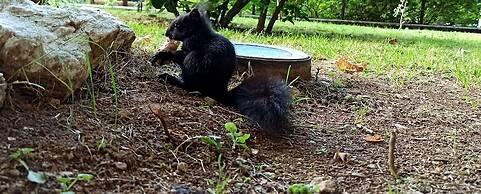 Parco dei Pini - Sila Wellness Hotel