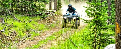 Parco dei Pini - Sila Wellness Hotel