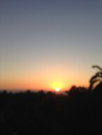 Palm View Guesthouse and Conference Centre