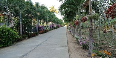 D.R. Lanta Bay Resort