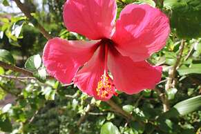 D.R. Lanta Bay Resort