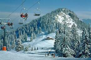 Almenrausch und Edelweiss