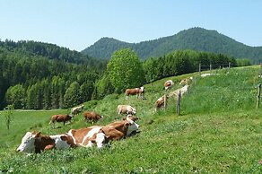 Hotel Gasthof Jachenau