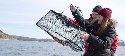 Vann Spa Hotel and Conference