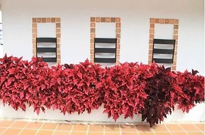 Hotel Campestre Duranta