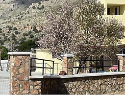 Room in Studio - Rock Garden Apartments - 2 Steps From the Beach