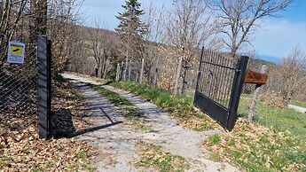 - Agriturismo La Piaggia - Forest View Apartment on the Ground Floor 2