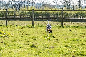 Primrose - 1 Bedroom Cottage - Llanteg