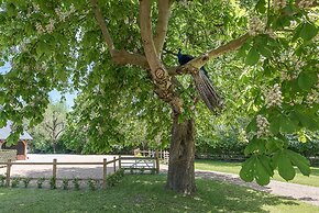 Geoff's Rest, Pond Hall Farm, Hadleigh