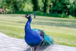 Geoff's Rest, Pond Hall Farm, Hadleigh