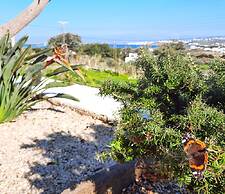 Koukounari Cottage Paros, Apartment With sea View