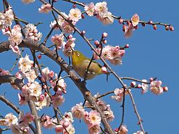 APA Hotel Asakusa Kaminarimon Minami
