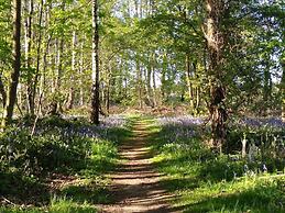 Hollicarrs - Kingfisher Lodge