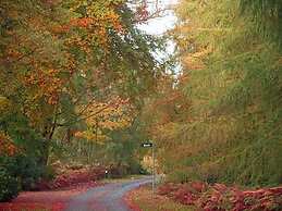 Hollicarrs - Kingfisher Lodge