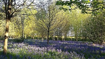 Hollicarrs - Kingfisher Lodge