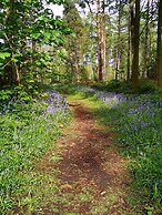 Hollicarrs - Kingfisher Lodge