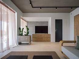 3 Olive Trees