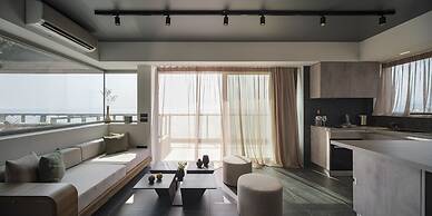 3 Olive Trees