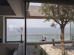 3 Olive Trees
